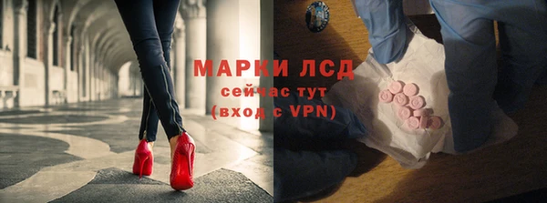 ГАЛЛЮЦИНОГЕННЫЕ ГРИБЫ Алексин