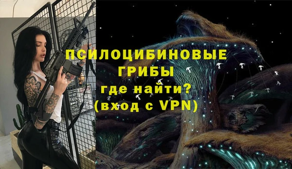 ГАЛЛЮЦИНОГЕННЫЕ ГРИБЫ Алексин