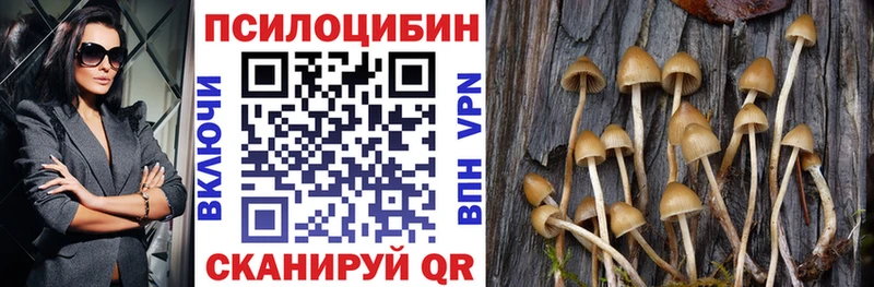 МЕГА вход  Алдан  Псилоцибиновые грибы Magic Shrooms 